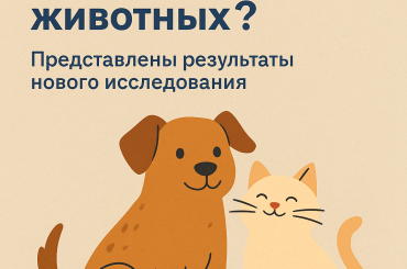 How Does Kazakhstan Care for Homeless Animals? New Study Results Revealed